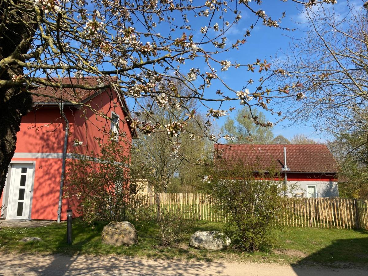 Urlaubsoase Ostsee Hohen Schoenberg Ngoại thất bức ảnh